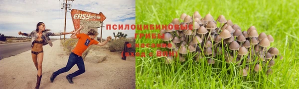 таблы Саяногорск